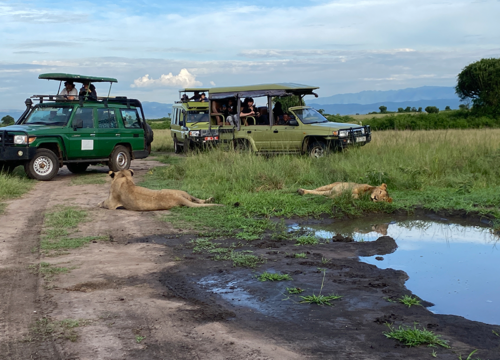 A Traveler’s Guide to the Pearl of Africa: Uganda