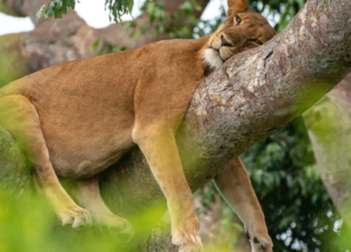 Encountering the Big Five and More