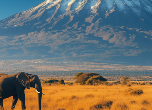 Tanzania