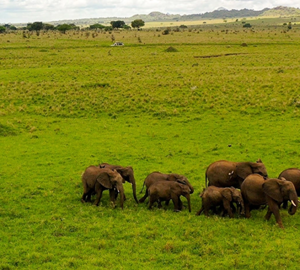 Discover Uganda
